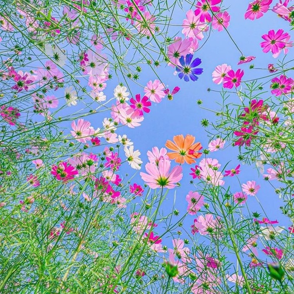 $10 SALE - Picture 6 of 7